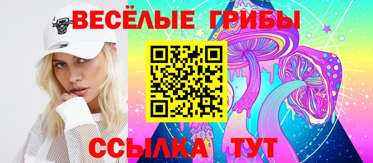 Галлюциногенные грибы Psilocybe Ижевск